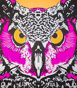 Owl 