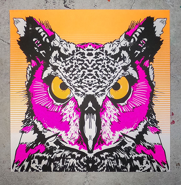 Owl 